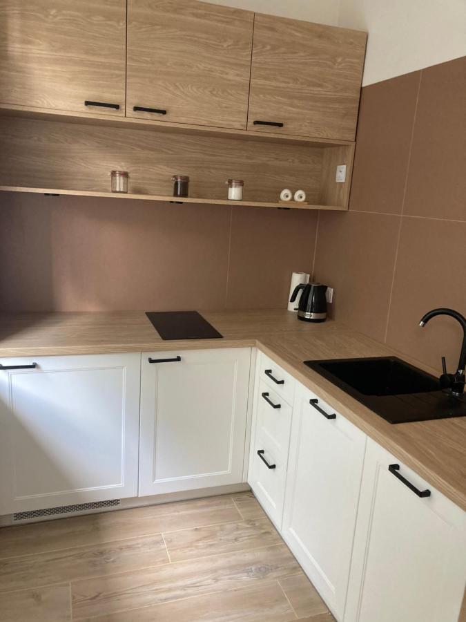 Apartament Grzaniec شكلارسكا بوريبا المظهر الخارجي الصورة
